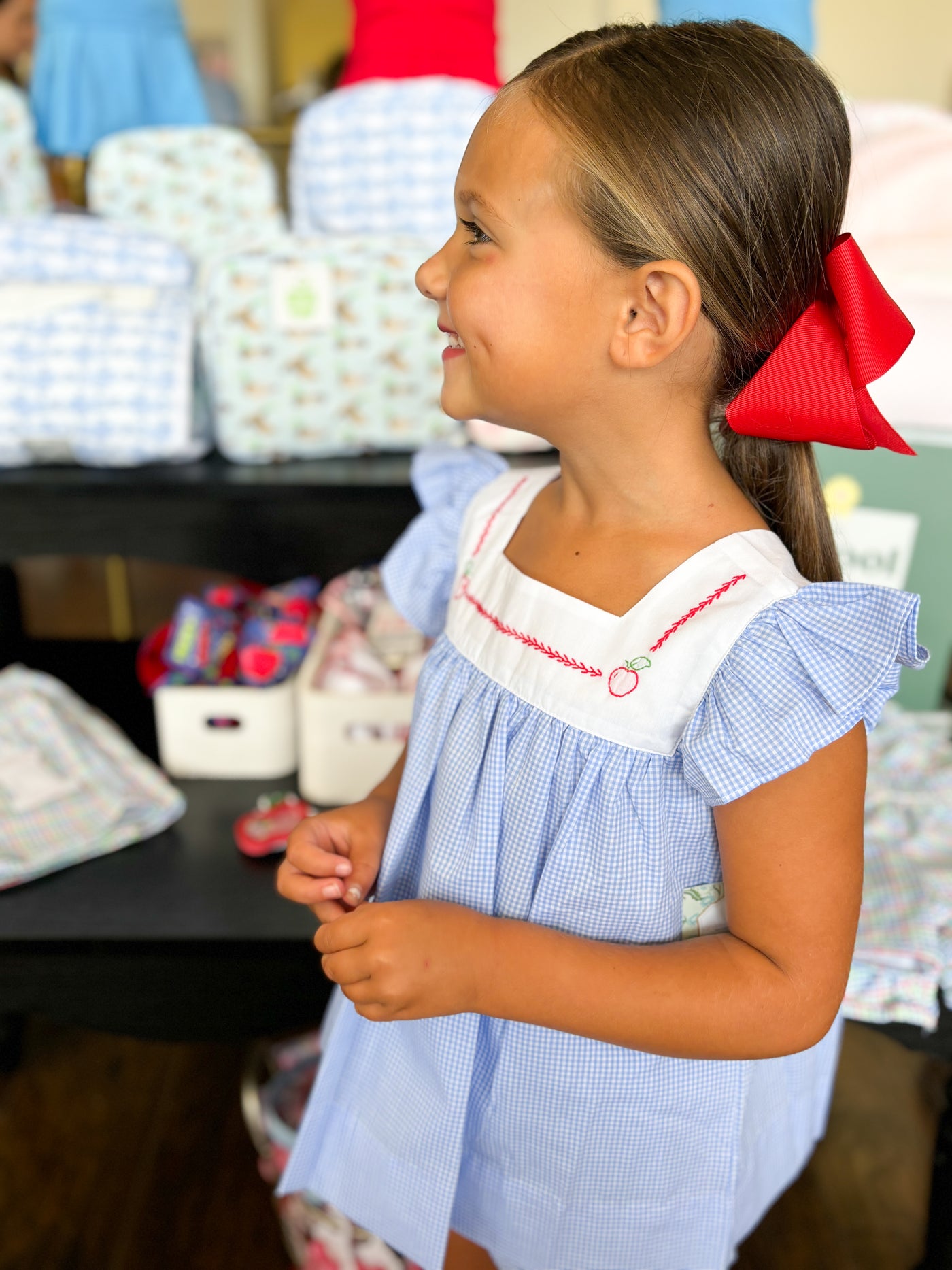 Girls Blue Gingham Bloomer Set with Apple Embroidery