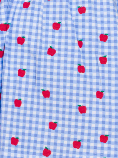 Apple Orchard Gingham Short Sleeve Knit Twirl Dress