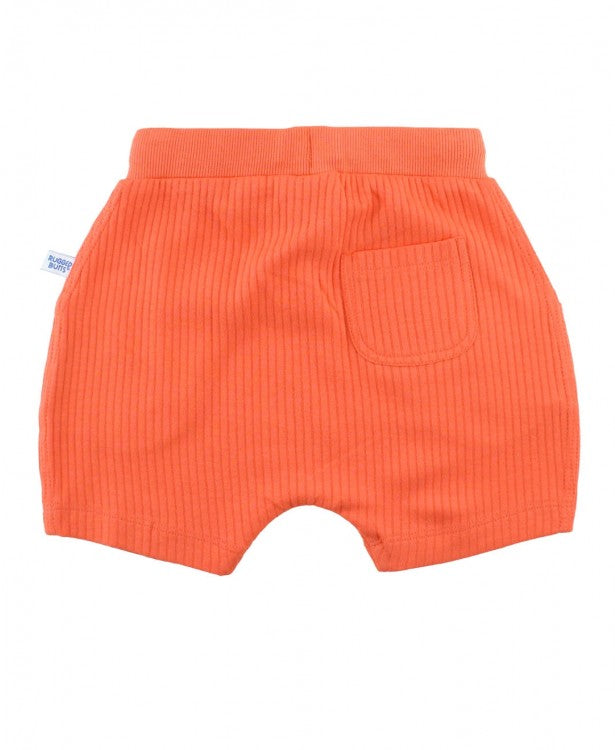 Sunset Ribbed Jogger Shorts