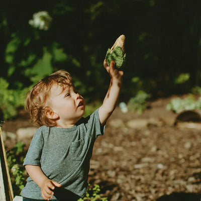 Friendly Sweetcorn Rattle